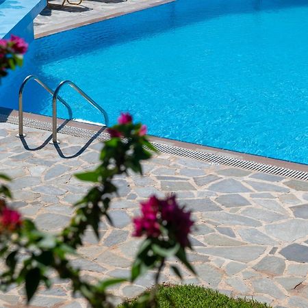 Kefalonian Mill - Oneira Villas Трапезаки Экстерьер фото